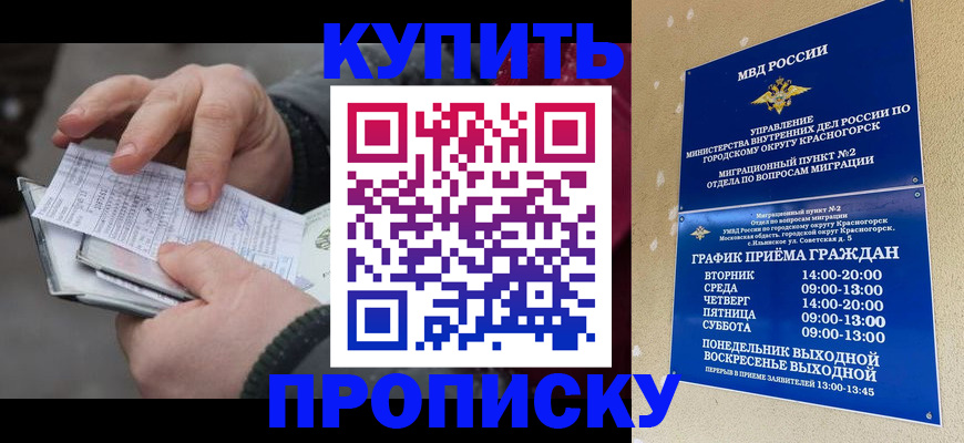 временная регистрация недорого в Новосибирской области